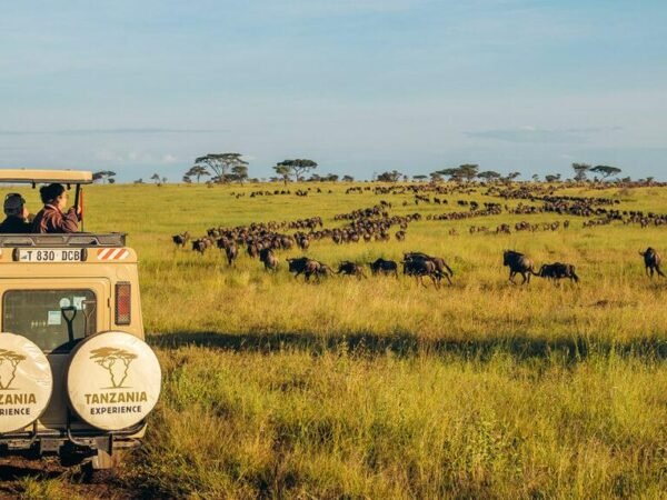 Serengeti & Zanzibar: Bush & Beach