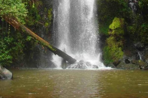 Kirasia Waterfall Marangu | 30m Hidden Fall & Natural Pool, Tanzania