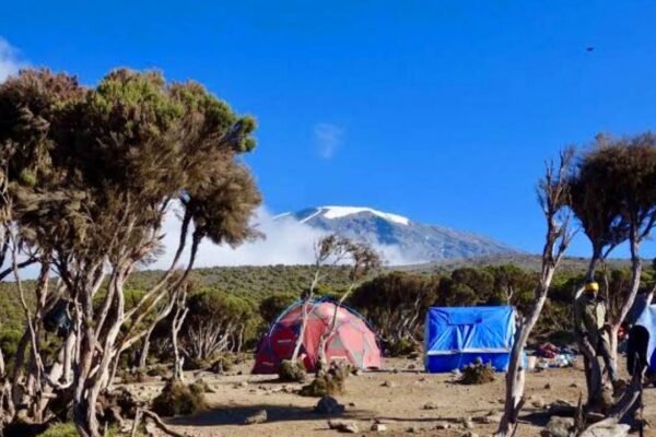 Mount Kilimanjaro: The Roof of Africa