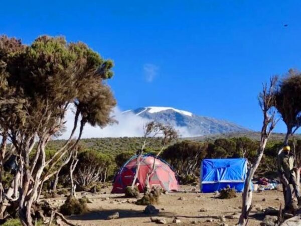 Mount Kilimanjaro: The Roof of Africa