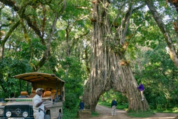 Arusha National Park: Gateway to the Northern Circuit