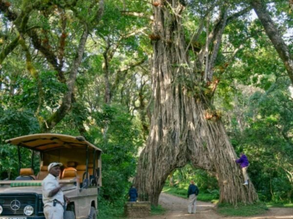 Arusha National Park: Gateway to the Northern Circuit