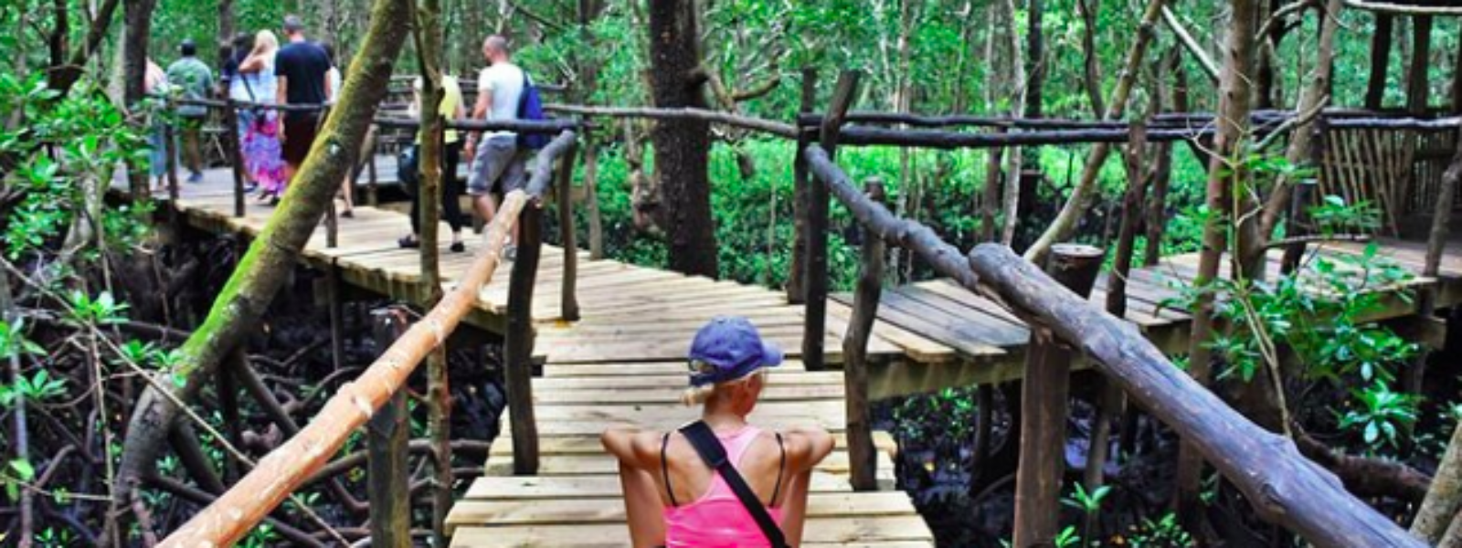 Jozani Forest Zanzibar