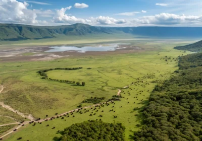 Ngorongoro Crater Luxury Tour