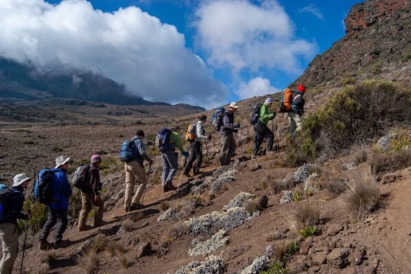 Kilimanjaro Falls and Hidden Wonders Expedition